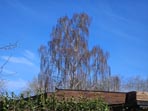 Klik for at se et st�r re billede