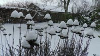 Klik for at se et st�rre billede