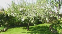 Klik for at se et st�rre billede