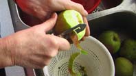Klik for at se et st�rre billede