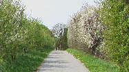 Klik for at se et st�rre billede