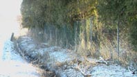 Klik for at se et st�rre billede